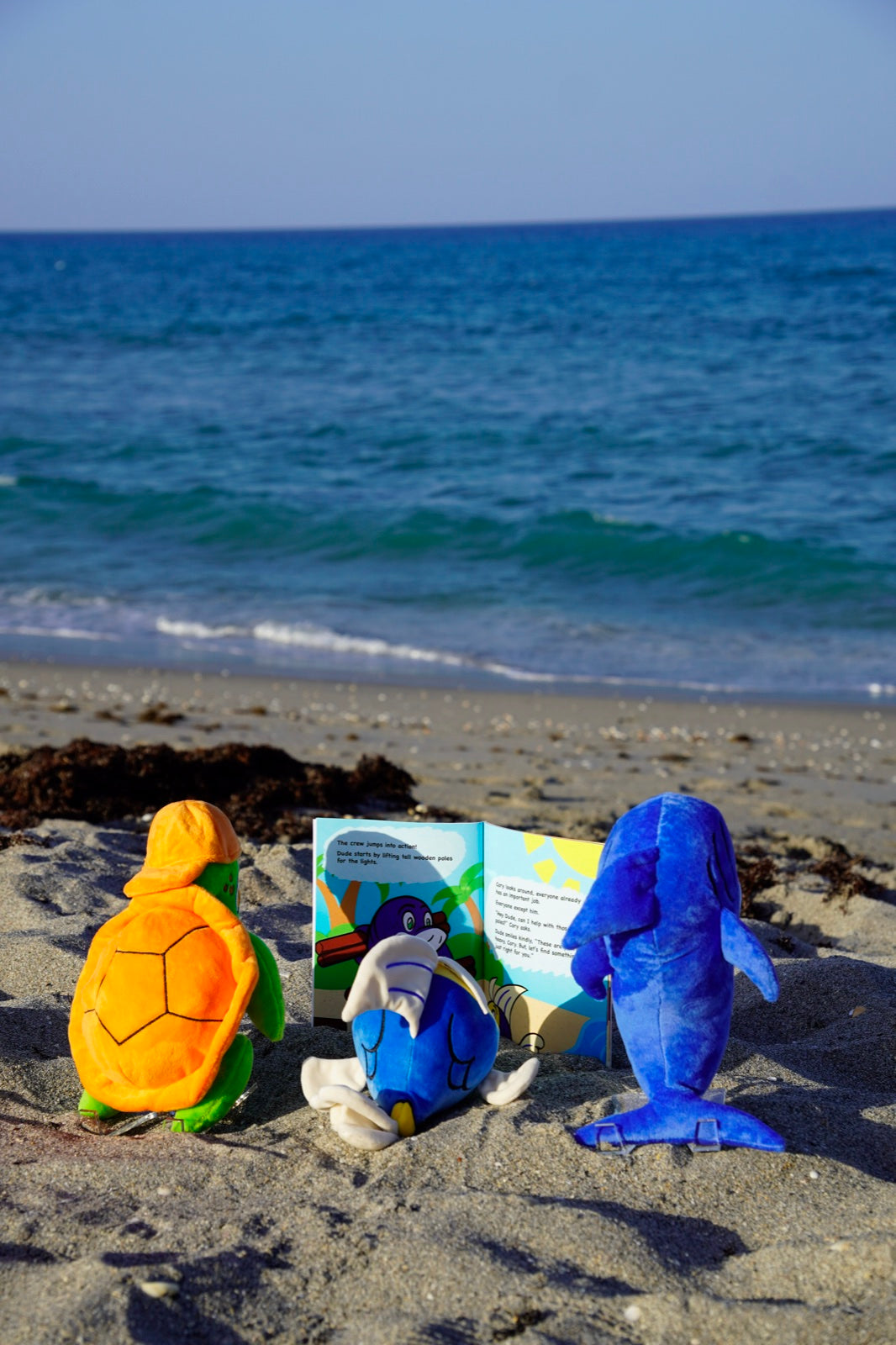 Coral Reef Crew at the beach