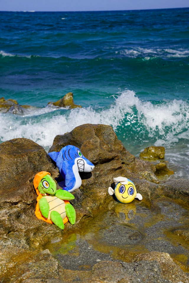 Dude, Tommy and Cory exploring a tide pool